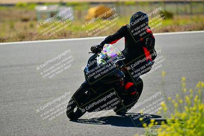 media/May-10-2024-2WTD (Fri) [[c88d7990af]]/Group B/Session 2-The Bowl/